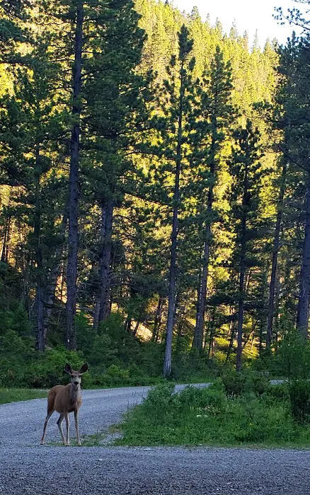 Logging Creek Campground Picture 7