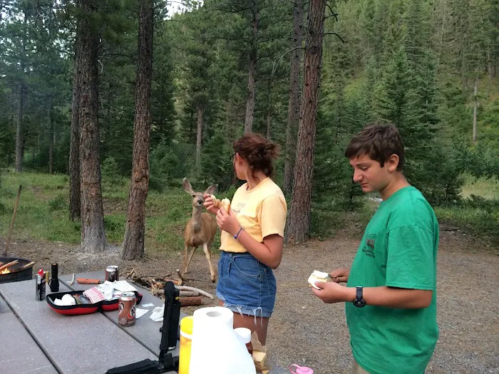 Logging Creek Campground Picture 9