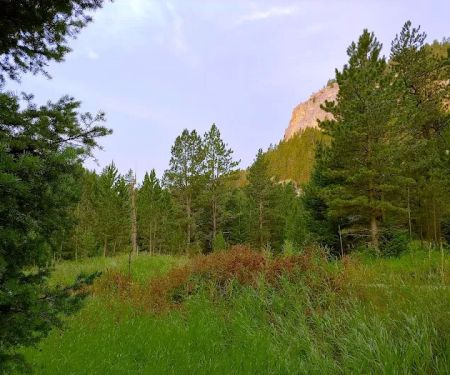 Indian Hill Campground