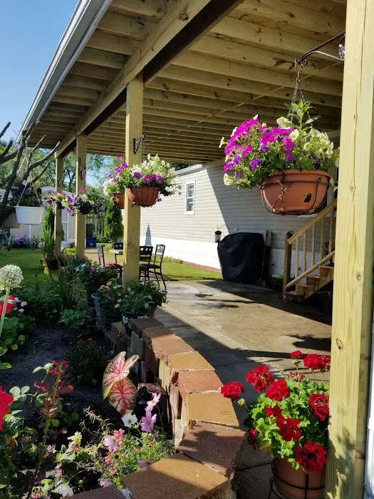 Oasis Mobile Home Park Picture 5