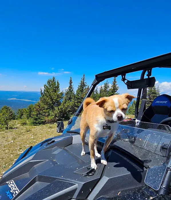 Jellison Place Campground Picture 6