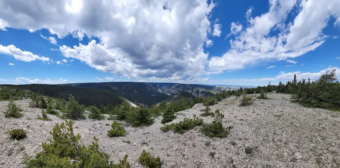 Jellison Place Campground Picture 9