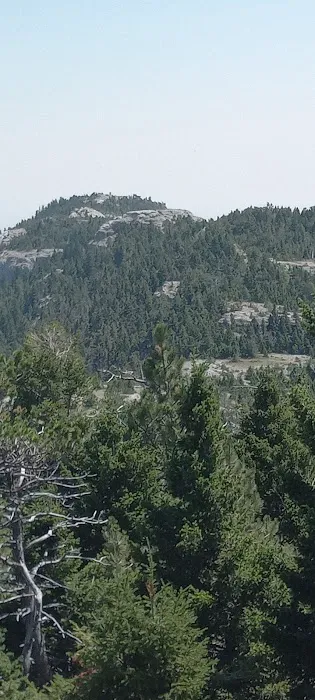 Jellison Place Campground Picture 5