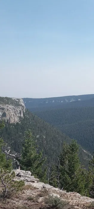 Jellison Place Campground Picture 4