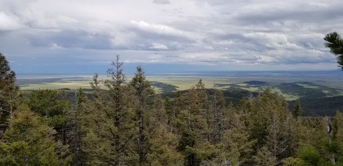 Jellison Place Campground Picture 10