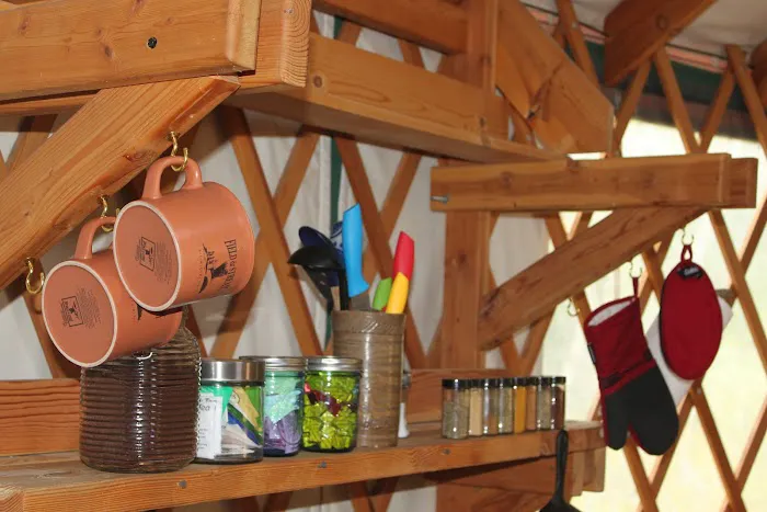 Champagne Creek Yurts Picture 3