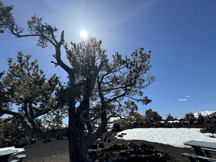 Lava Flow Campground Picture 8
