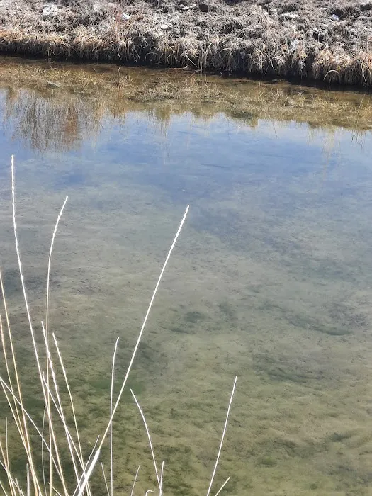 Hayspur Campground Picture 3