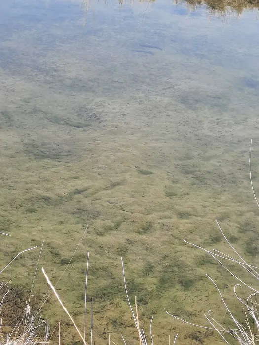 Hayspur Campground Picture 1