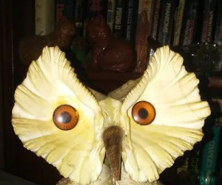 Breazeale Trailer Park