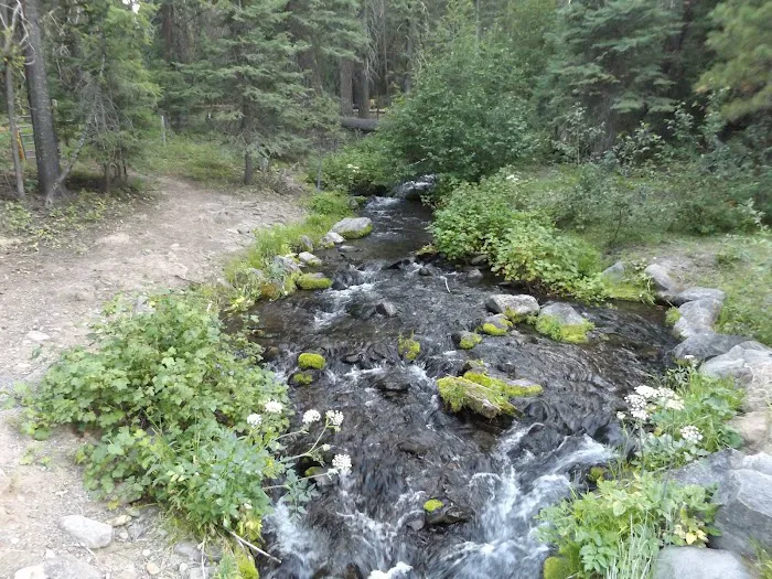 Elk Creek Campground Picture 5