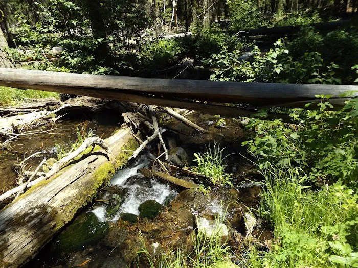 Elk Creek Campground Picture 6