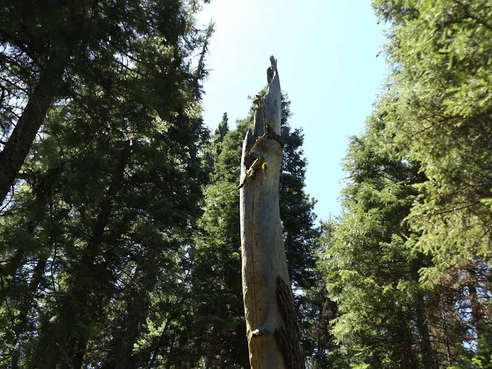 Elk Creek Campground Picture 3