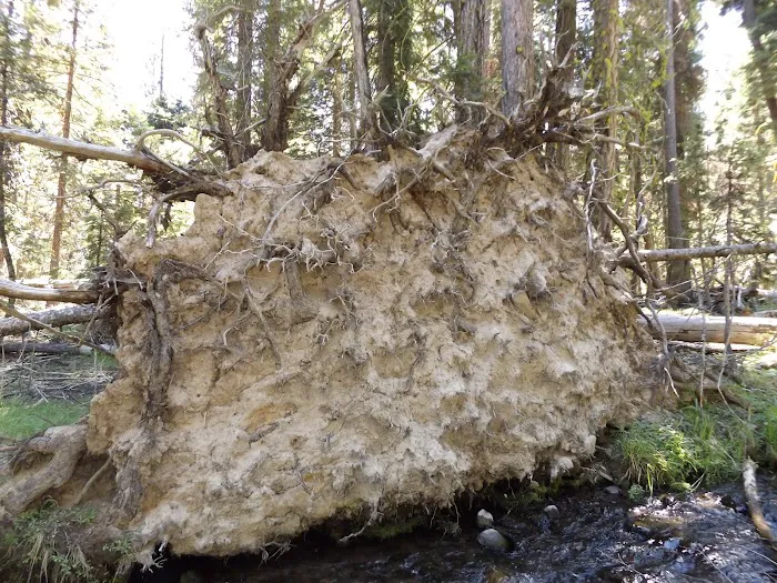 Elk Creek Campground Picture 4