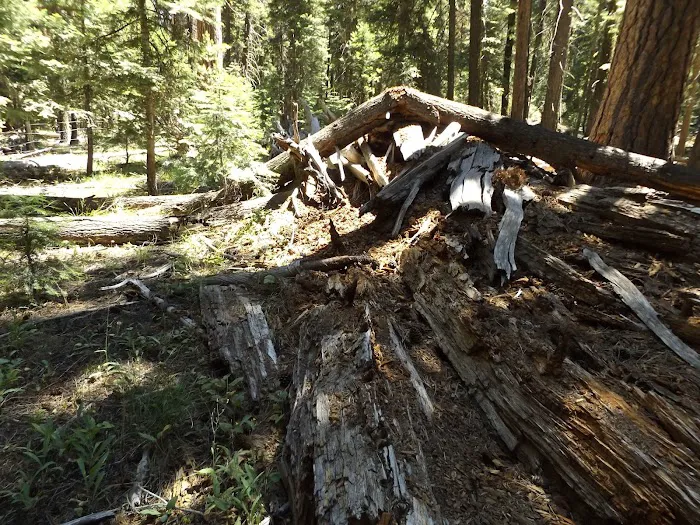 Elk Creek Campground Picture 8