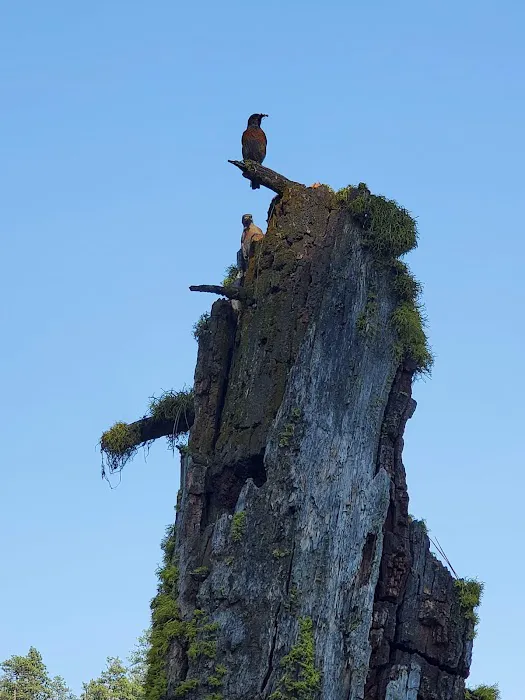 Magone Lake Campground Picture 1