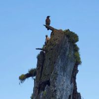 Magone Lake Campground ico