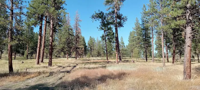 Magone Lake RV Site Picture 1