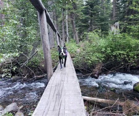 Slide Creek Campground