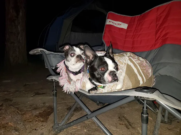 Slide Creek Campground Picture 6