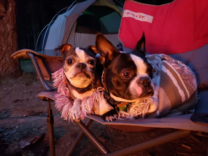 Slide Creek Campground Picture 4