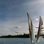 Indian Lake Campground