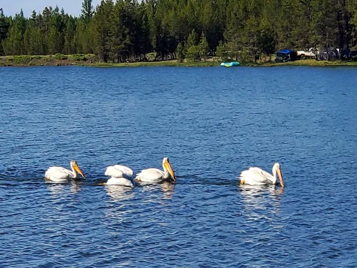 Indian Lake Campground Picture 6