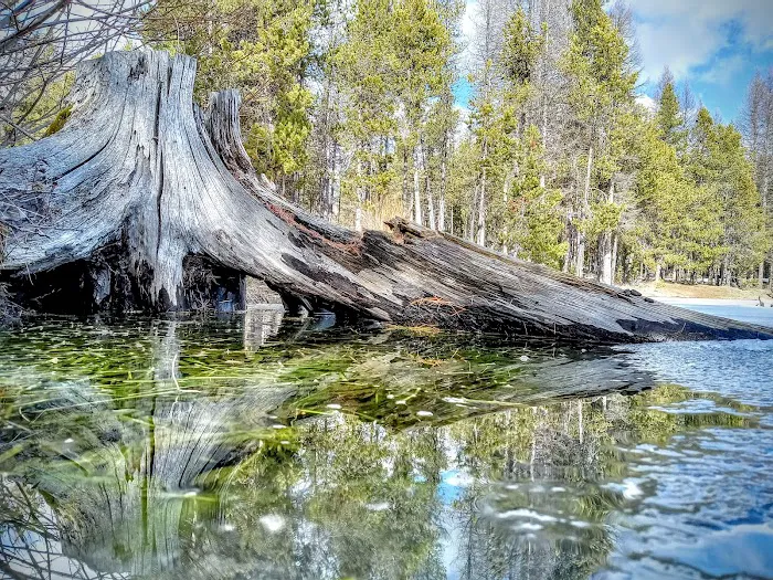 Indian Lake Campground Picture 5