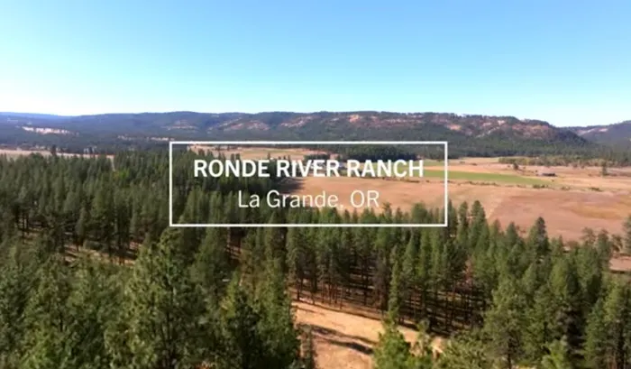 R.R Ranch 🌲 Picture 6