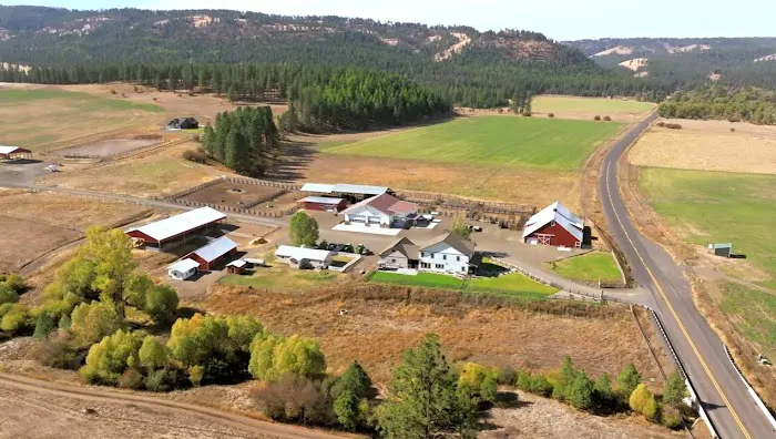 R.R Ranch 🌲 Picture 2