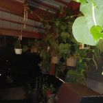 Rockland Mobile Home Park
