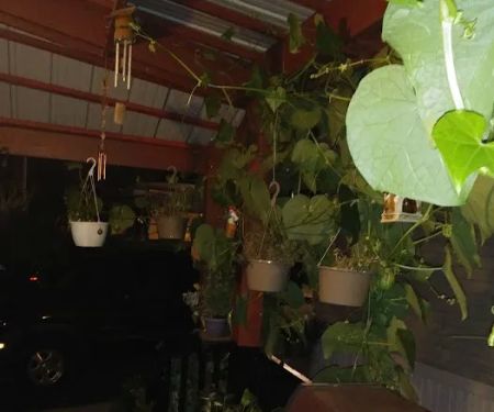 Rockland Mobile Home Park