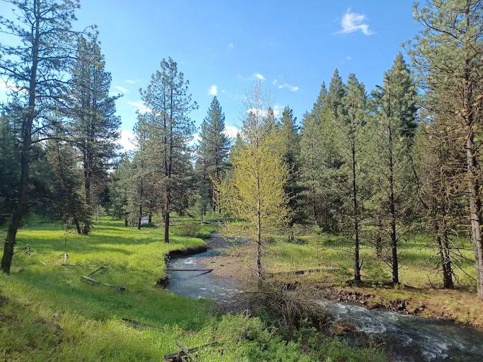 Spring Creek Campground Picture 2