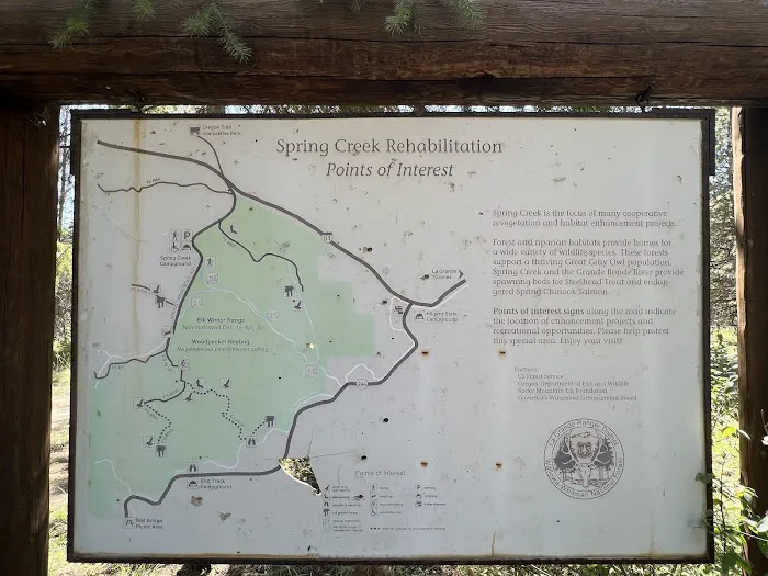 Spring Creek Campground Picture 5