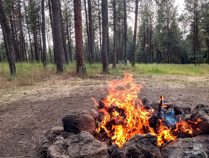 Spring Creek Campground Picture 8