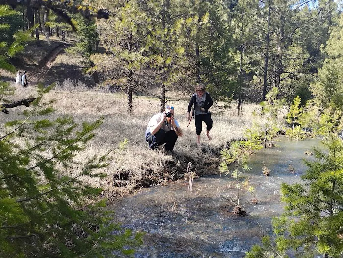 Spring Creek Campground Picture 9