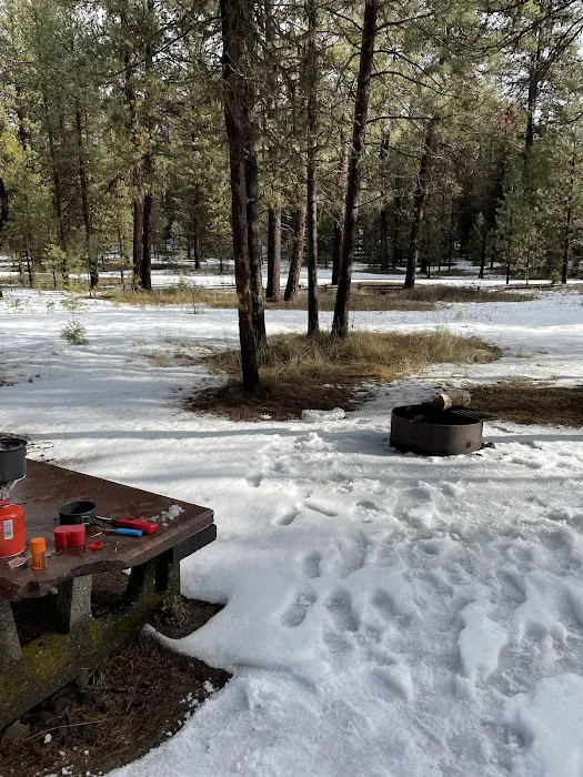 Spring Creek Campground Picture 1