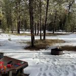 Spring Creek Campground