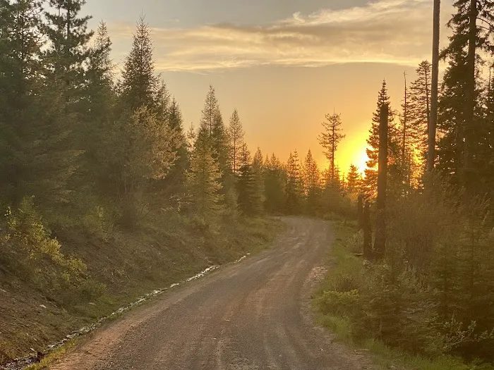 Fox Hill Campground Picture 2