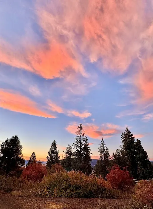 Fox Hill Campground Picture 1