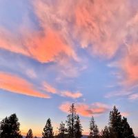 Fox Hill Campground ico