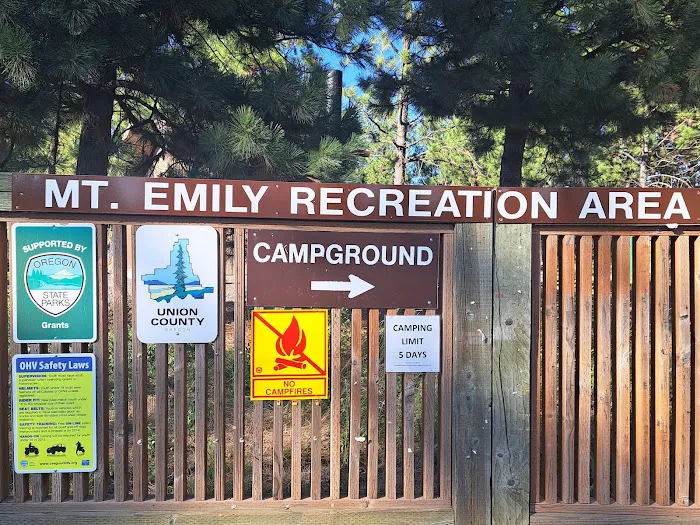 Fox Hill Campground Picture 8