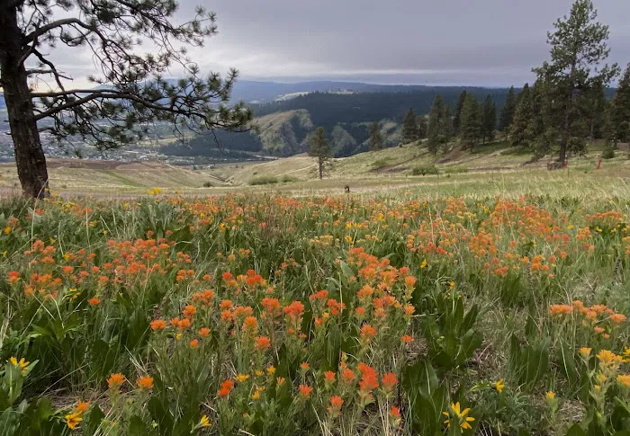 Fox Hill Campground Picture 6