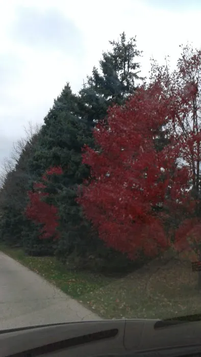 Woodland Mobile Home Park Picture 7