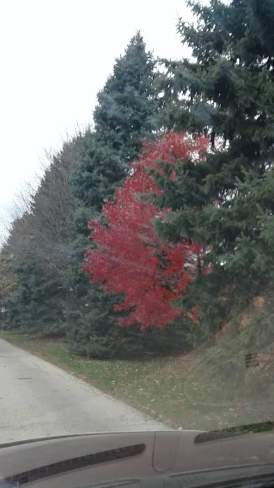 Woodland Mobile Home Park Picture 6