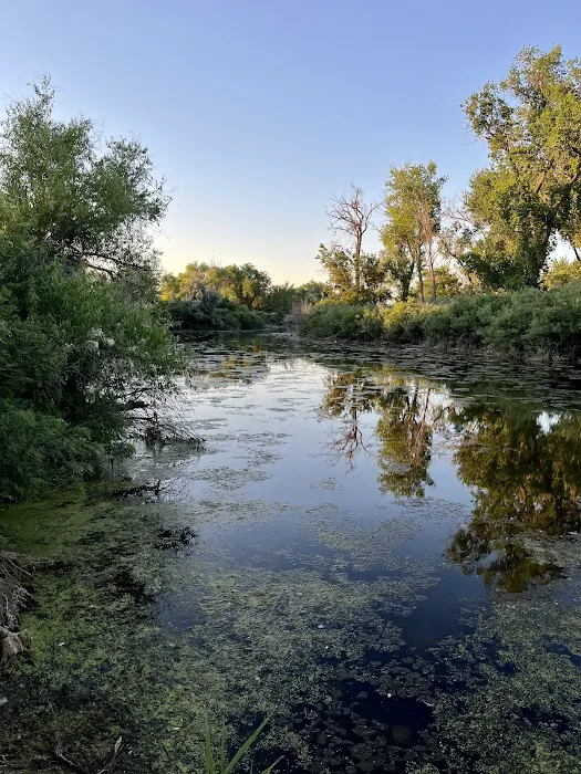Martin's Landing Campground Picture 5