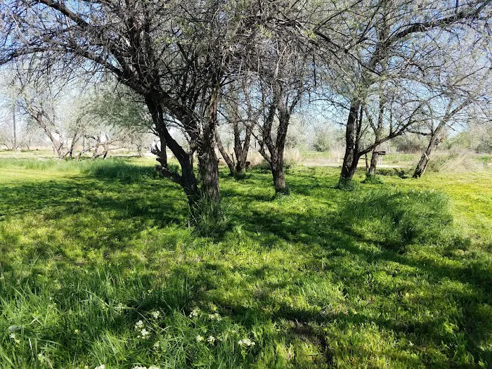 Martin's Landing Campground Picture 8