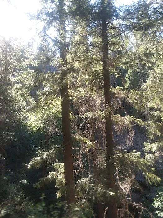 Snake Lake Campground Picture 2