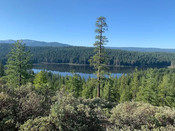 Snake Lake Campground Picture 8