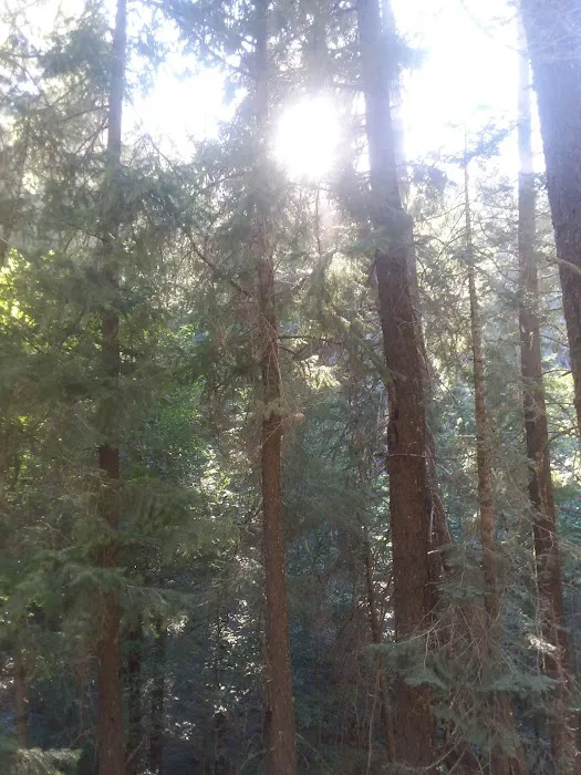 Snake Lake Campground Picture 9